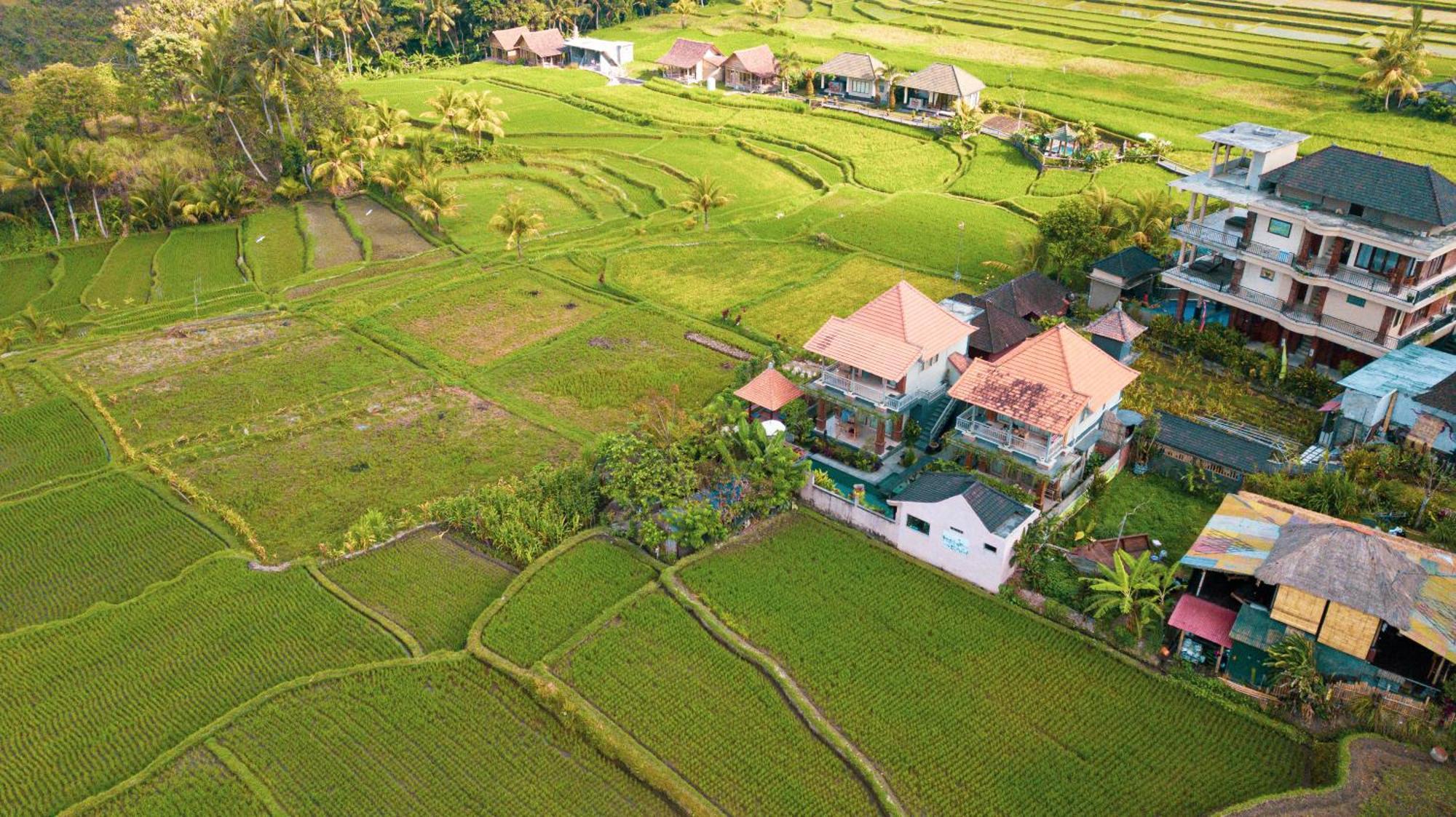 Raditya Villa Ubud Eksteriør bilde